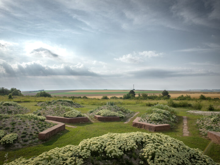 Jardin de la Paix américain – « Terres de promesses », 2024